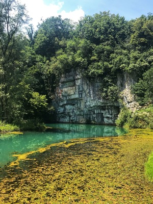 The most beautiful turquoise river surrounded by limestone cliffs, yet no one seems to know about this spot. You could easily spend the day reading a book next to this spring and not see another sole! Just one of the reasons why I loved the off the beaten track destination of Bela Krajina in Slovenia