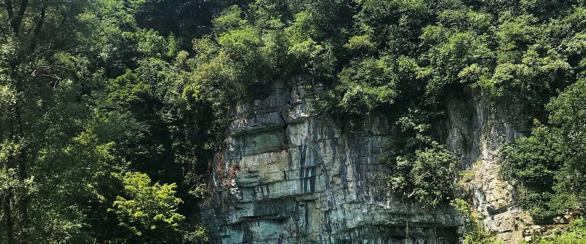 A serene lake surrounded by lush greenery and a rocky cliff.