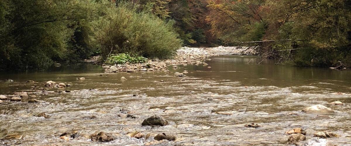 A river flowing through a forested valley with autumn-colored trees and a rocky riverbed.