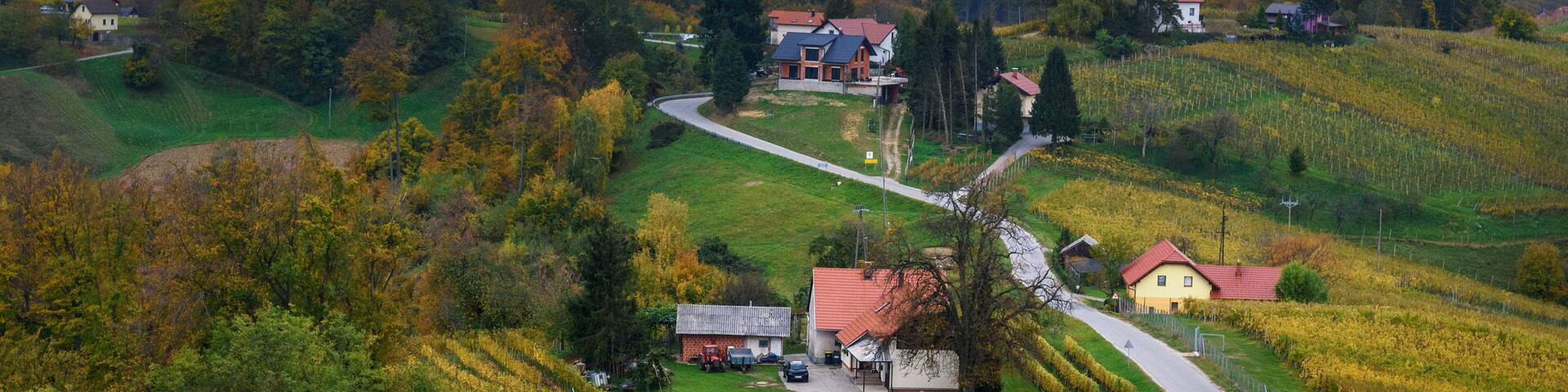 Beautiful vineyards landscape of Jeruzalem on Slovene Hills. Ljutomer. Northeastern Slovenia