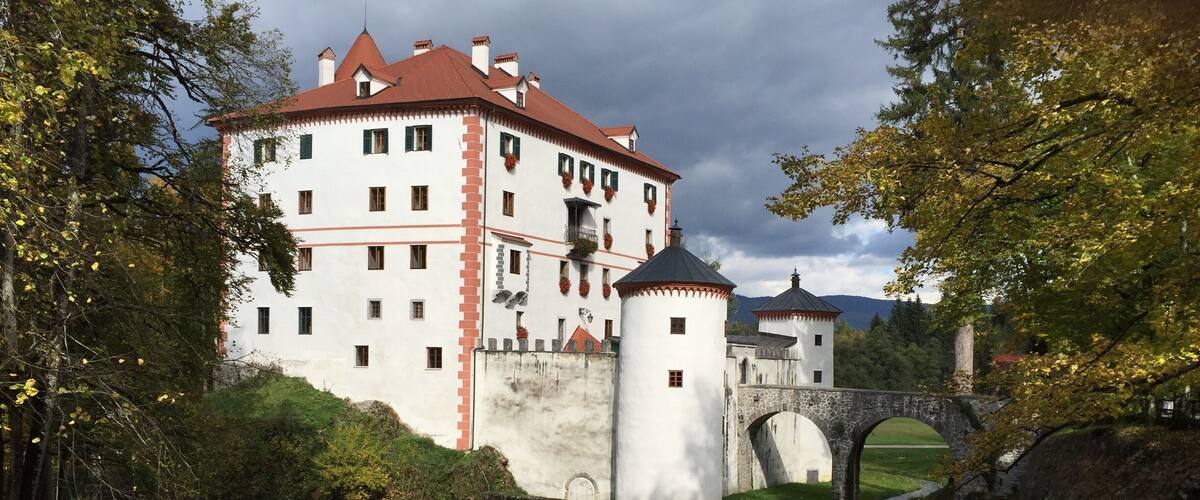 A castle with a moat, a bridge, and a reflection in the water.