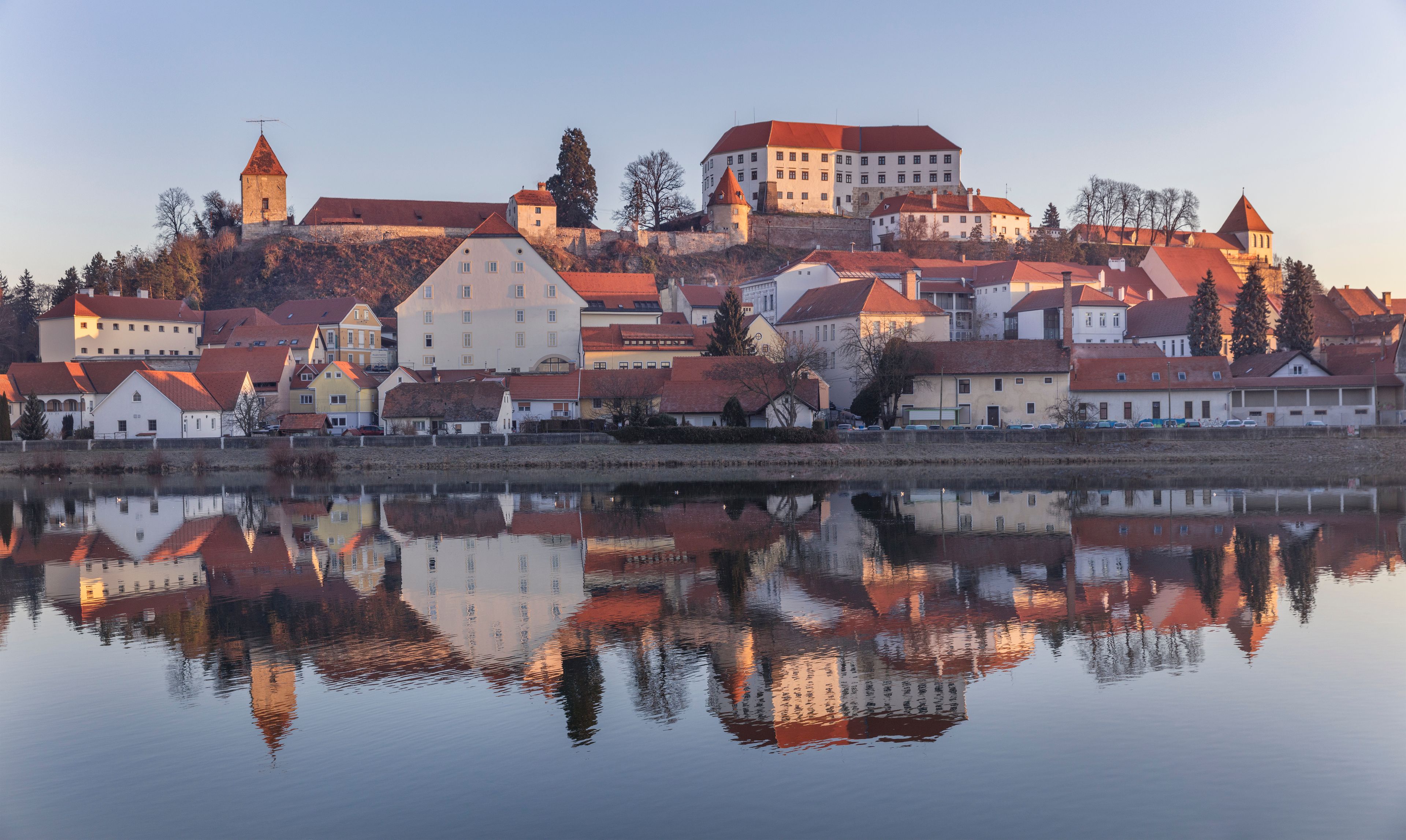 Gorišnica