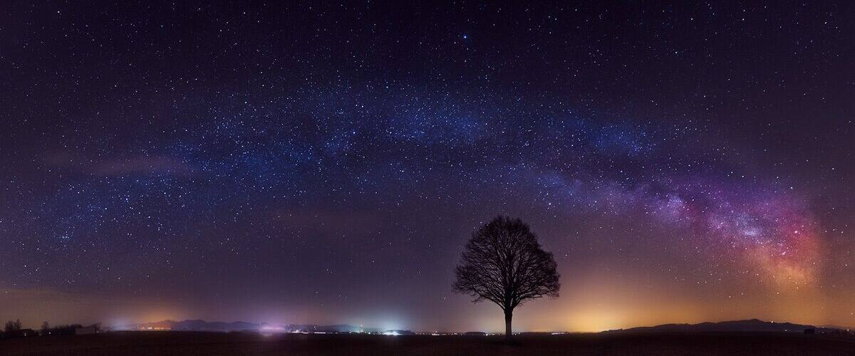 A starry night sky with a tree silhouetted against the Milky Way.