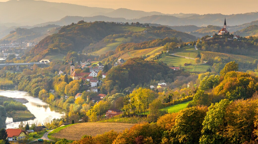 Gorišnica