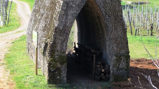 First World War fortification in Dutovlje, Municipality of SeĆŸana, Slovenia