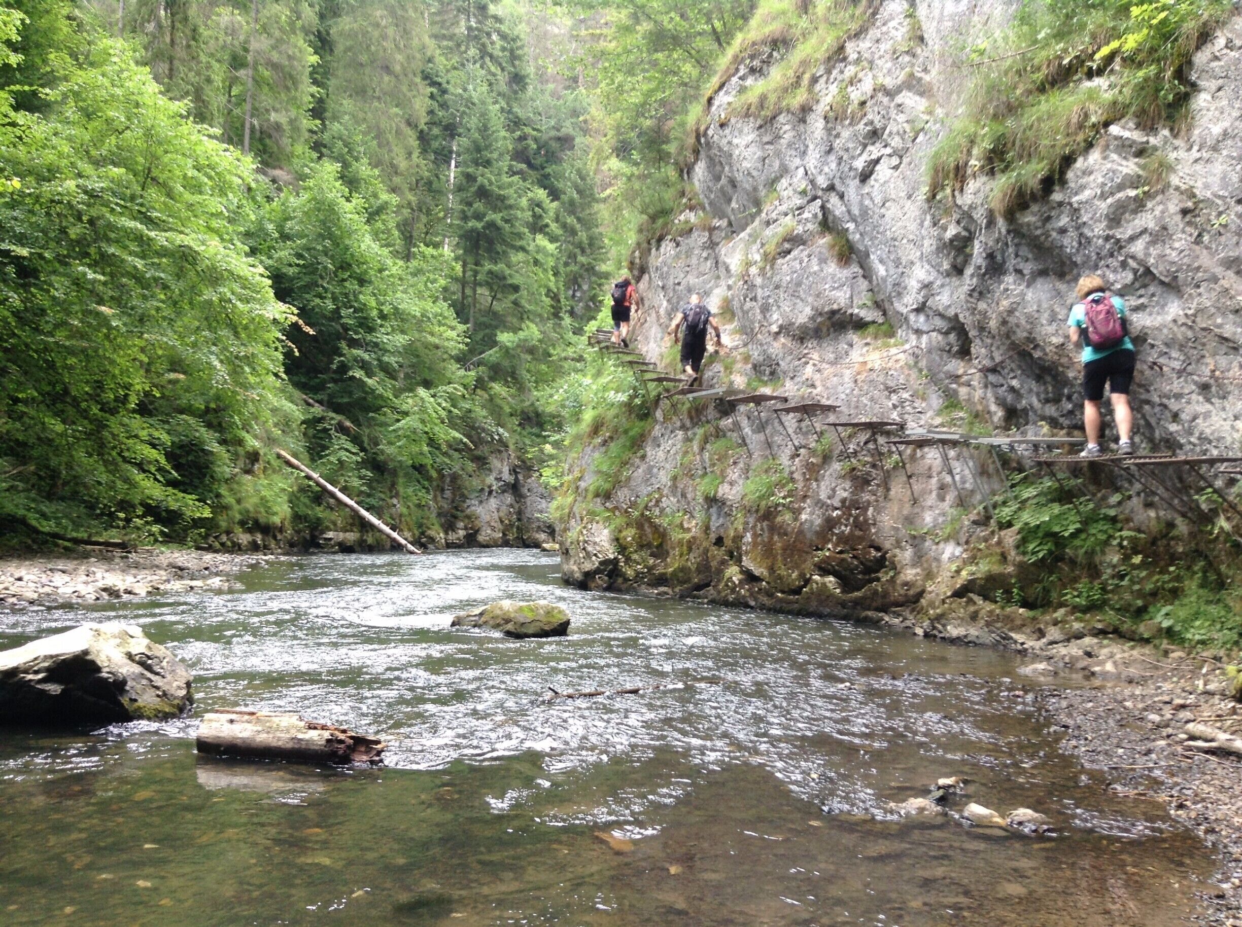 Hornád river on the blue hiking trail between Pod Tomašovským výhľadom and Letanovský mlyn. There are plenty of metal steps and chains fixed to the rock to help. Not a difficult walk, but technically demanding.

Entrance to the national park is €1.50 per day, or €3.50 for 3 days.

#nationalpark #hiking #nature #TakeAhike