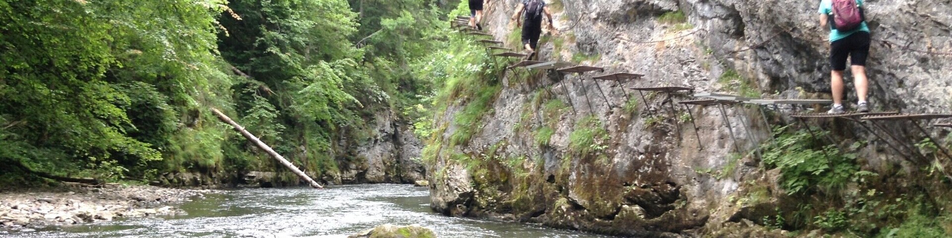 Hornád river on the blue hiking trail between Pod Tomašovským výhľadom and Letanovský mlyn. There are plenty of metal steps and chains fixed to the rock to help. Not a difficult walk, but technically demanding.
Entrance to the national park is €1.50 per day, or €3.50 for 3 days.
#nationalpark #hiking #nature #TakeAhike
