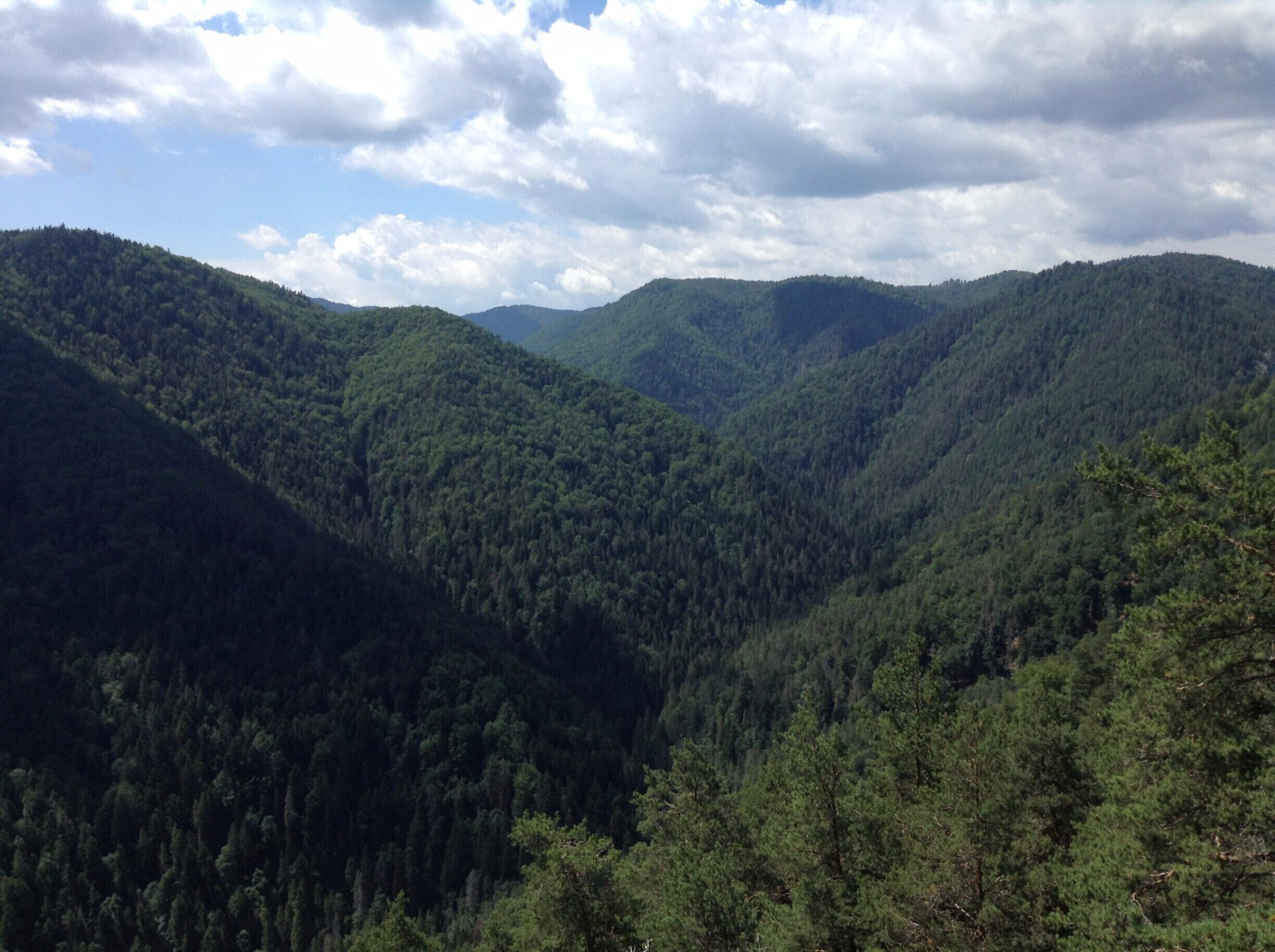 View of Slovensky raj national park taken from Čertova sihoť (822 m), on the blue hiking trail between Kláštorisko and Biely potok.

Entrance to the national park is €1.50 per day, or €3.50 for 3 days.

#nationalpark #hiking #nature #TakeAhike