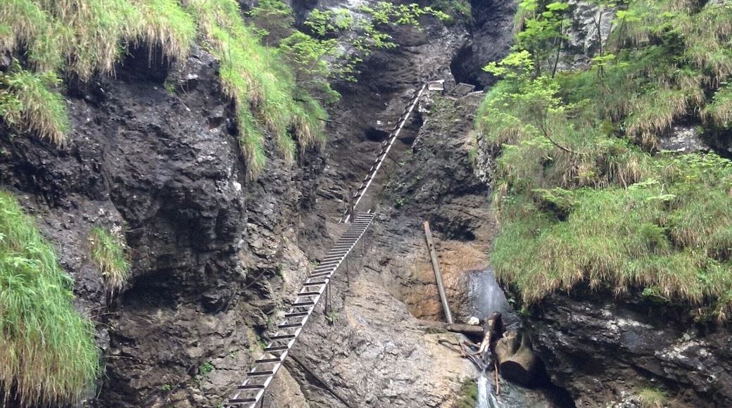 Slovenský raj (Slovak Paradise) is a national park in central Slovakia between Poprad and Spišská Nová Ves.
Photo was taken at the first waterfall on the Suchá Belá (dry white) gorge, which is the most popular of the 8 gorges that are open to the public. Over a distance of 4 km, a series of ladders and metal walkways provide access to the gorge, whilst minimising the human impact. Best to start your hike early if you want to avoid the crowds.
Entrance to the national park is €1.50 per day, or €3.50 for 3 days.
#nationalpark #hiking #nature #TakeAhike