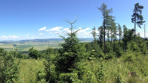 Beautiful views of the High Tatras (left) from the blue hiking trail between Kláštorisko and Biely potok.
Entrance to the national park is €1.50 per day, or €3.50 for 3 days.
#nationalpark #hiking #nature #TakeAhike