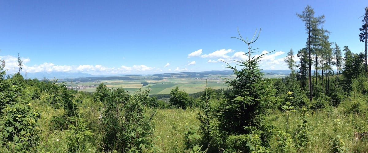 A mountainous landscape with dense forests, a clear blue sky, and a distant view of a town.