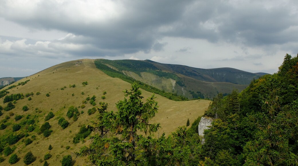 Veľká Fatra, Krížna