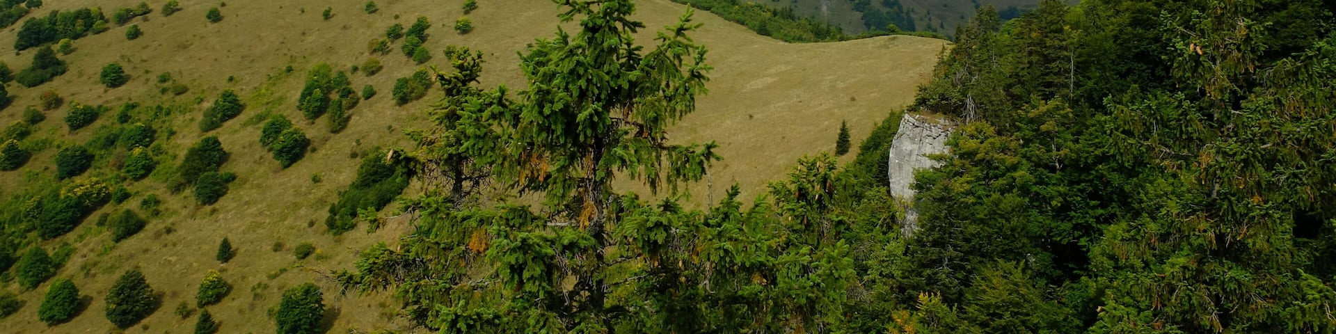 Veľká Fatra, Krížna