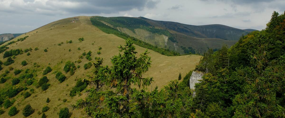 A mountainous landscape with rolling hills, dense forests, and a cloudy sky.