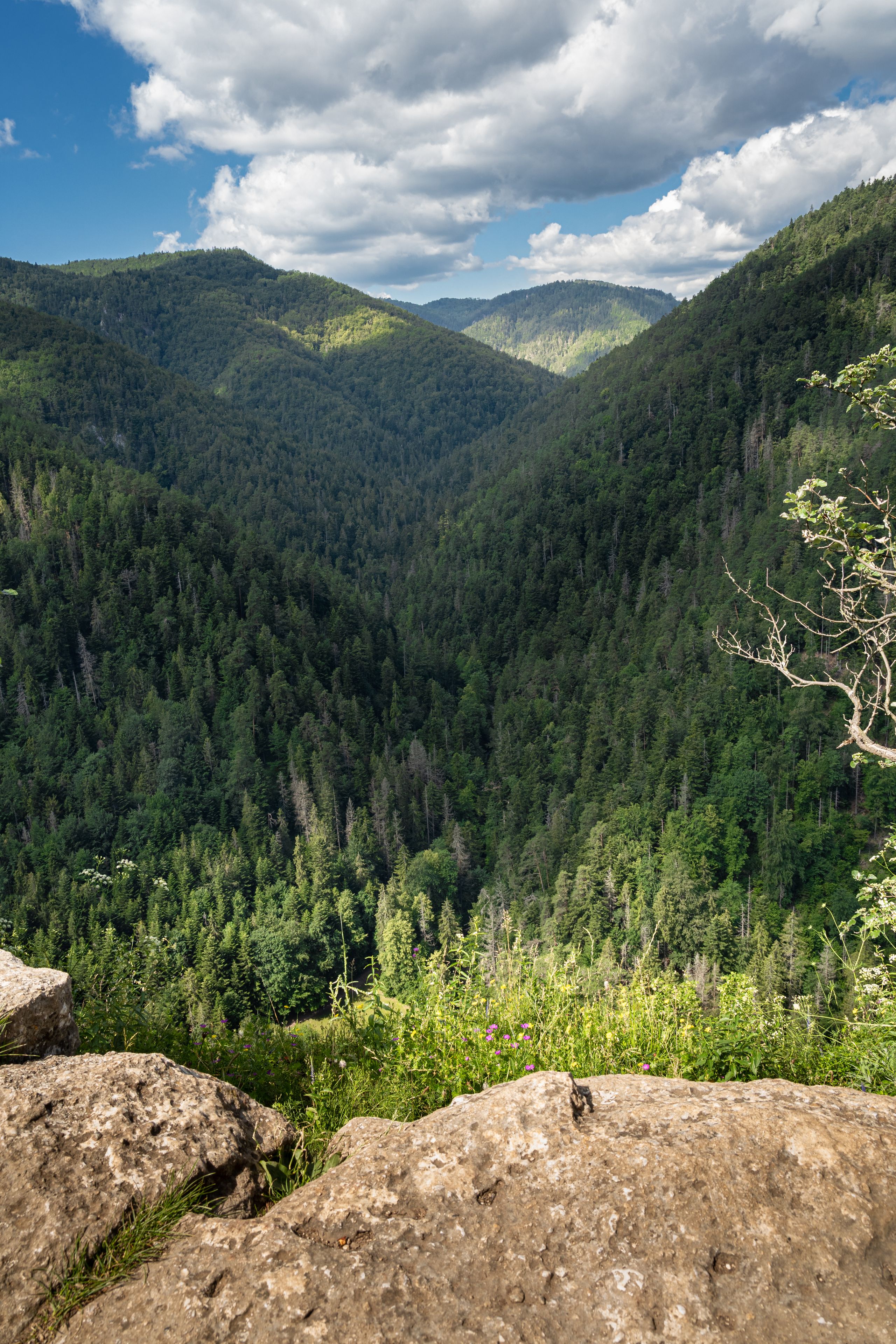 A mountainous landscape with dense forests and rocky outcrops.