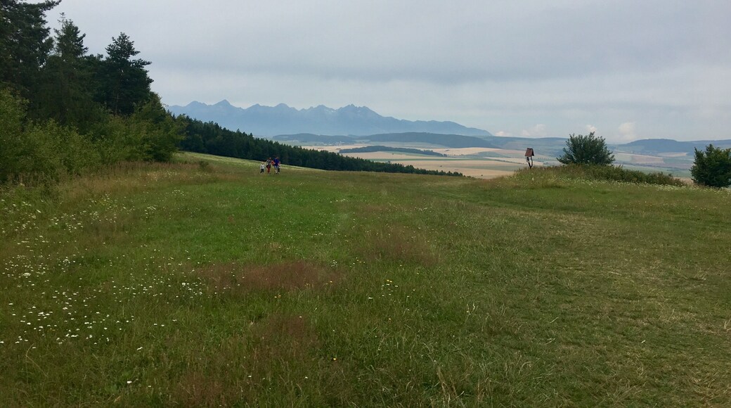 Pod Tomasovskym vyhladom