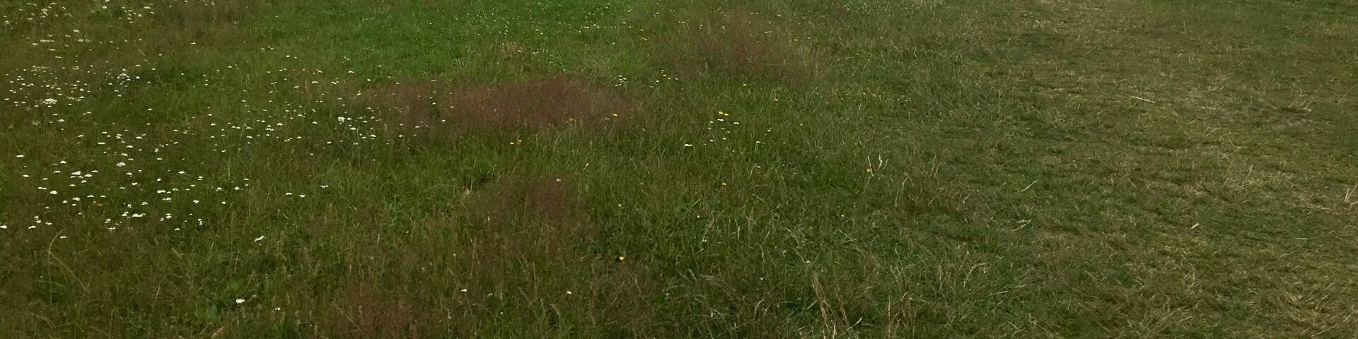 Pod Tomasovskym vyhladom