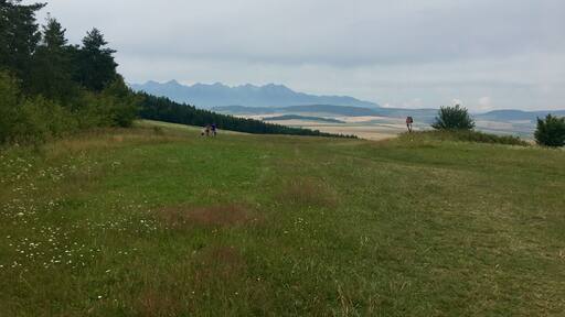 Pod Tomasovskym vyhladom