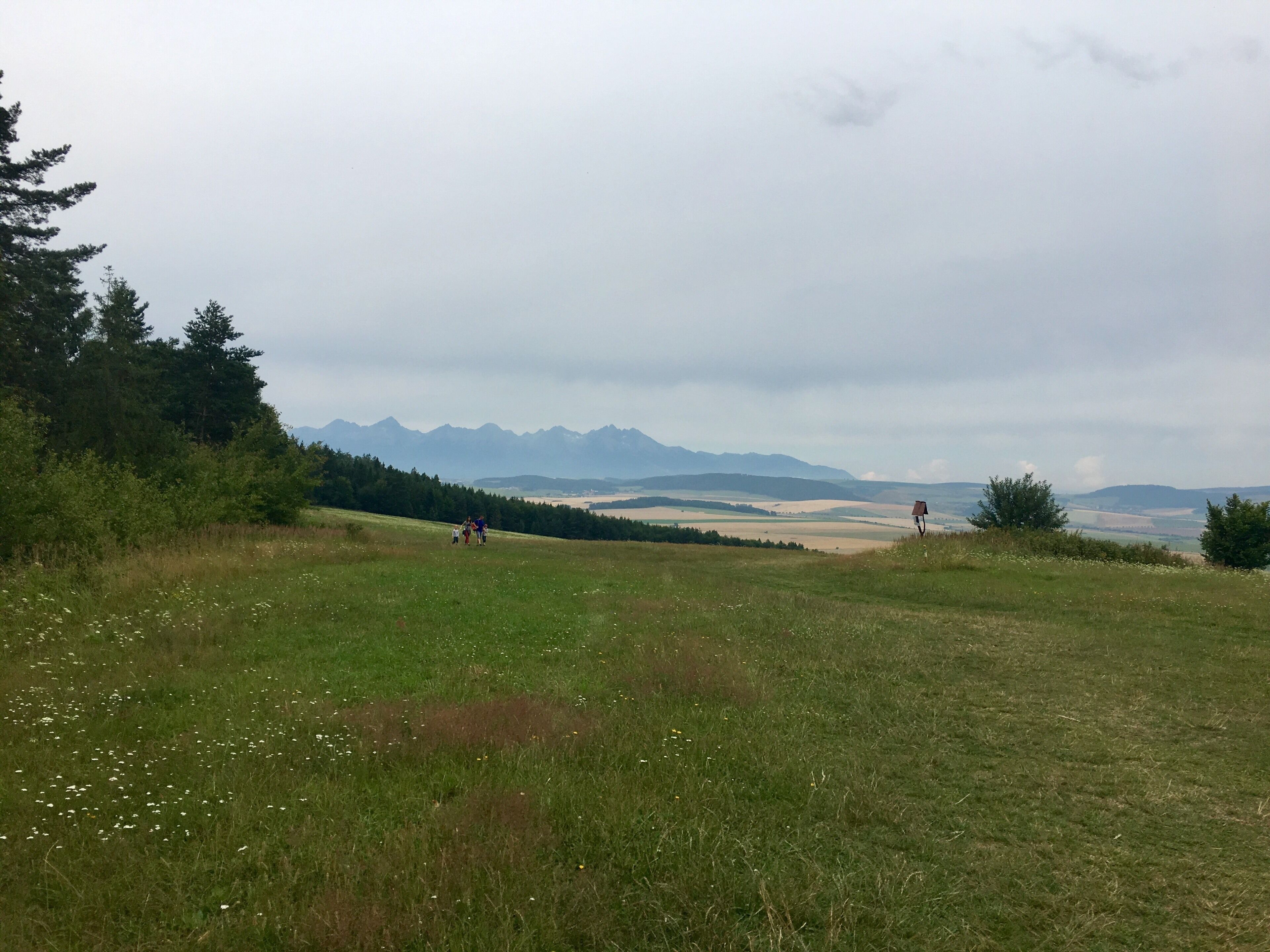 A grassy field with a few people walking, a wooden structure, and distant mountains under a cloudy sky.