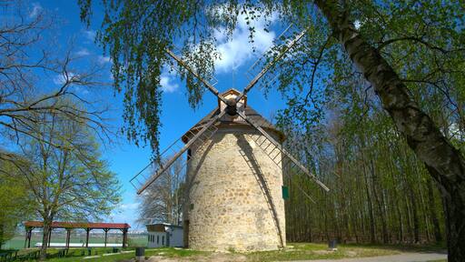 Eine traditionelle Windmühle, umgeben von Bäumen und einer Picknickzone.