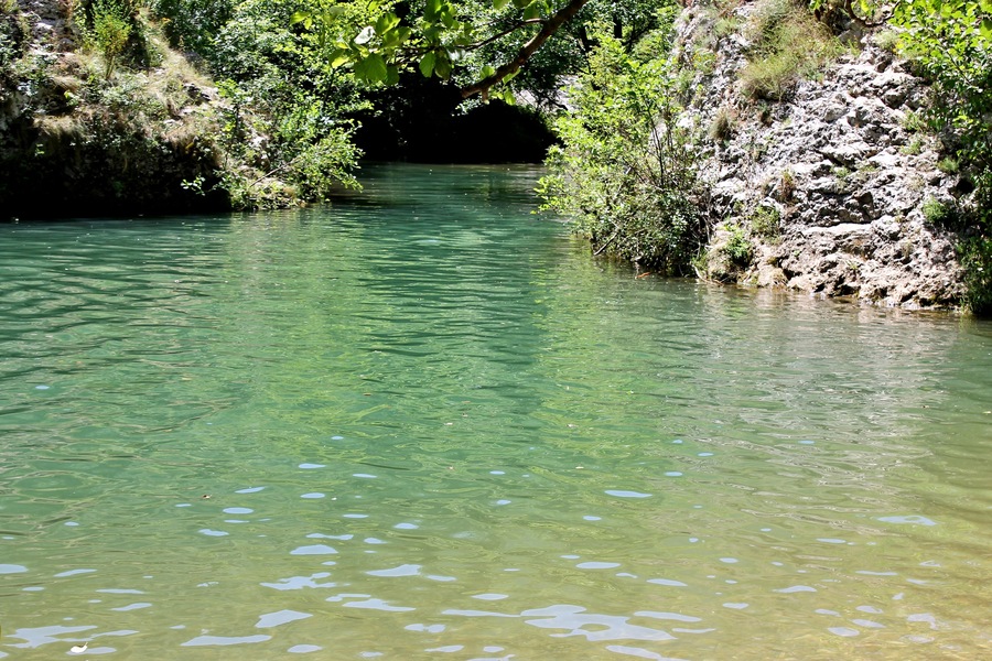 Clean water of Moravica river making green lagoon. Refreshing and tranquil.
#nature photo contest