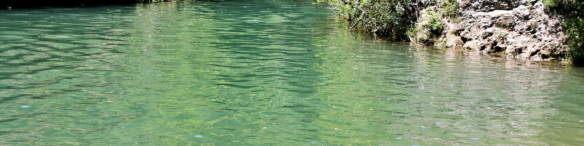 Clean water of Moravica river making green lagoon. Refreshing and tranquil.
#nature photo contest