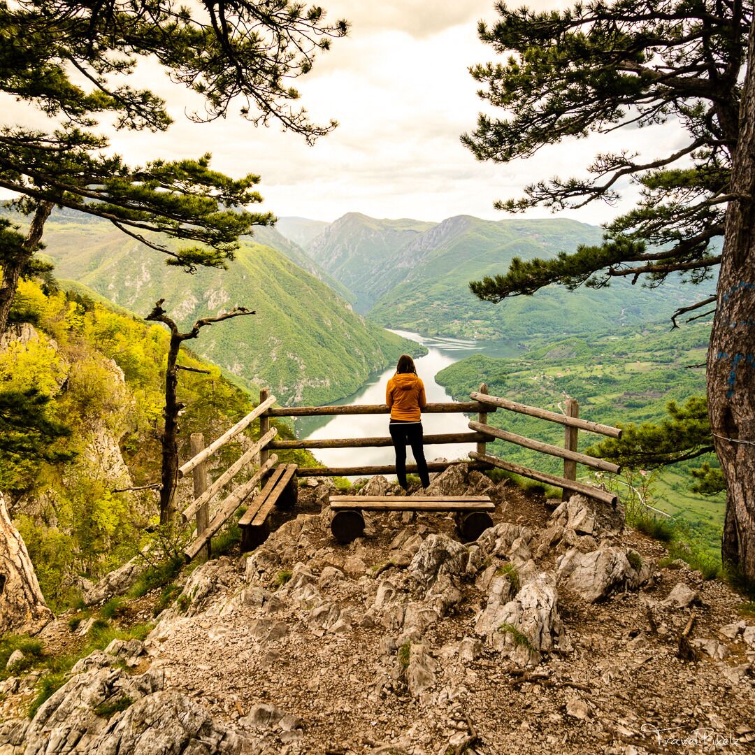 The Tara Nationalpark in Serbia is an awesome place to go hiking. We started our hike in Mitrovac and did a circular trail (route 9 to the viewpoint and 9a to go back) which took around 4 hours. There is a road to the viewpoint Banjska Stena, so there are far more people than on the hiking trail, but it is still definitely worth a visit. The views are amazing!

#Serbia #Tara #Nationalpark #Nature #Outdoor #Hiking #Adventure