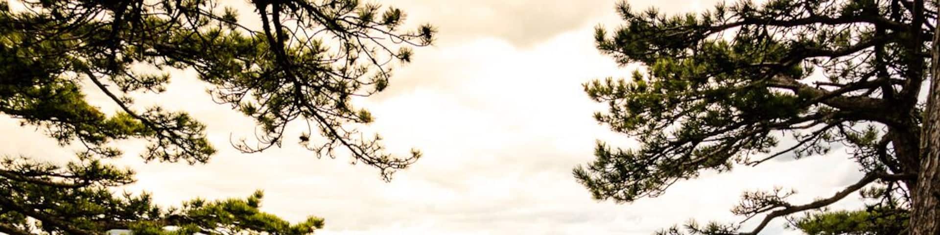 The Tara Nationalpark in Serbia is an awesome place to go hiking. We started our hike in Mitrovac and did a circular trail (route 9 to the viewpoint and 9a to go back) which took around 4 hours. There is a road to the viewpoint Banjska Stena, so there are far more people than on the hiking trail, but it is still definitely worth a visit. The views are amazing!
#Serbia #Tara #Nationalpark #Nature #Outdoor #Hiking #Adventure