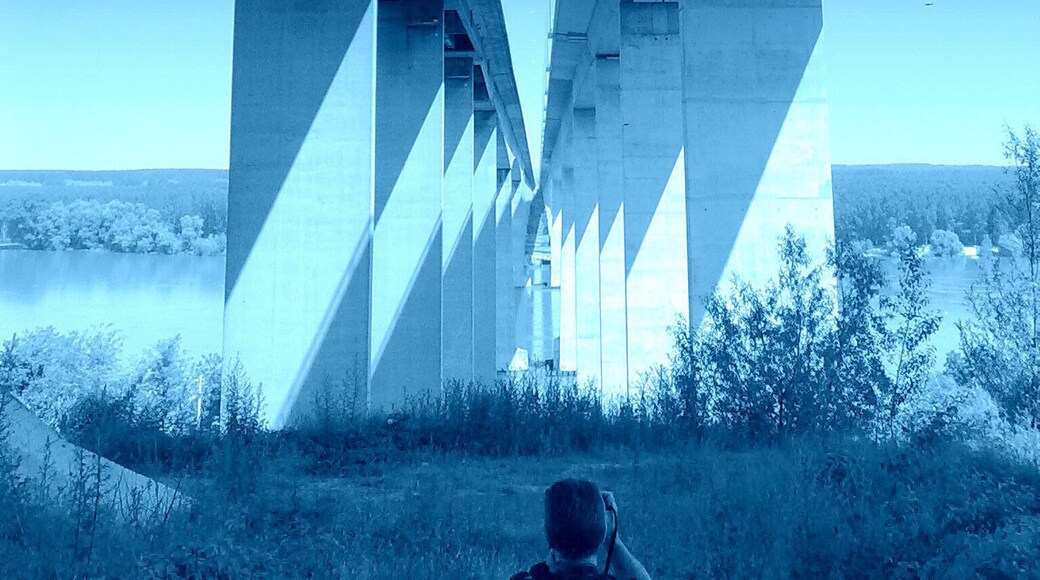Beska bridge over the Danube was built under the project of the highway Belgrade - Novi Sad - Subotica . The total length of the bridge is 2.250m, a width of 14.4m. The bridge has three lanes for road traffic (full profile to one side of the highway) and two footpaths width 1.7m Due to the large differences in altitude of the left and right banks of the Danube, the bridge is designed with a slope of 2.3%, which is also and the maximum gradient on the highway . During the middle water levels on rising 51m above the Danube.
#BVSBlue