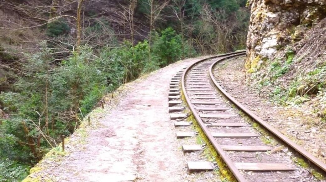 Somewhere between Guamka and Mezmay in Krasnodarskiy Kray.