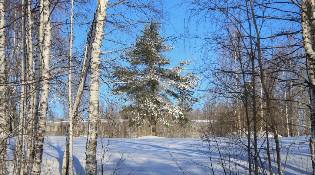 Distrito Urbano de Kostomuksha