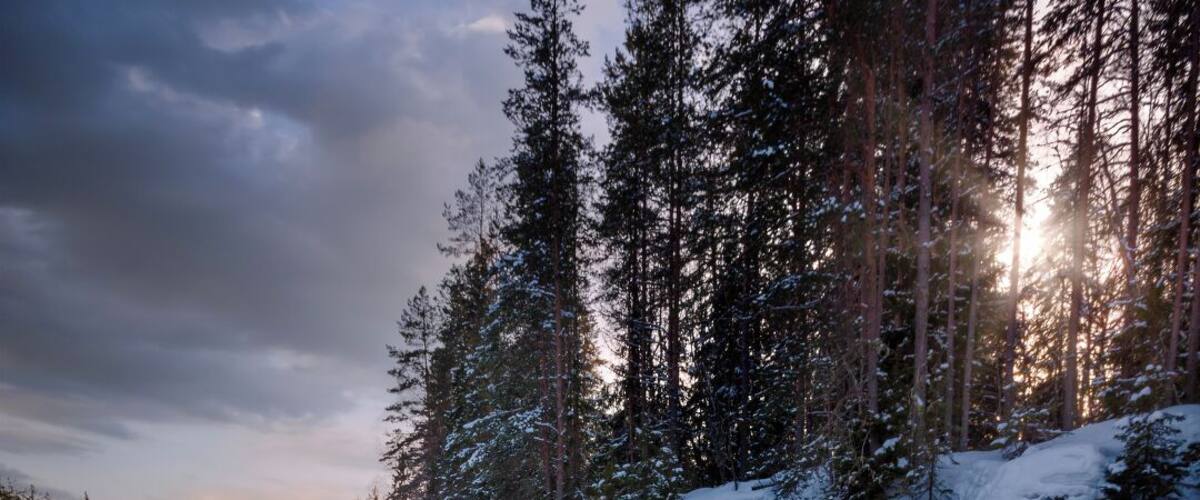 Famous waterfall "Kivach" in Republic of Karelia