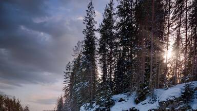 A snow-covered river flowing through a forest with tall trees and a cloudy sky.