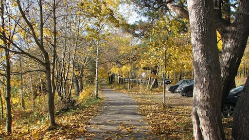 Komarovo