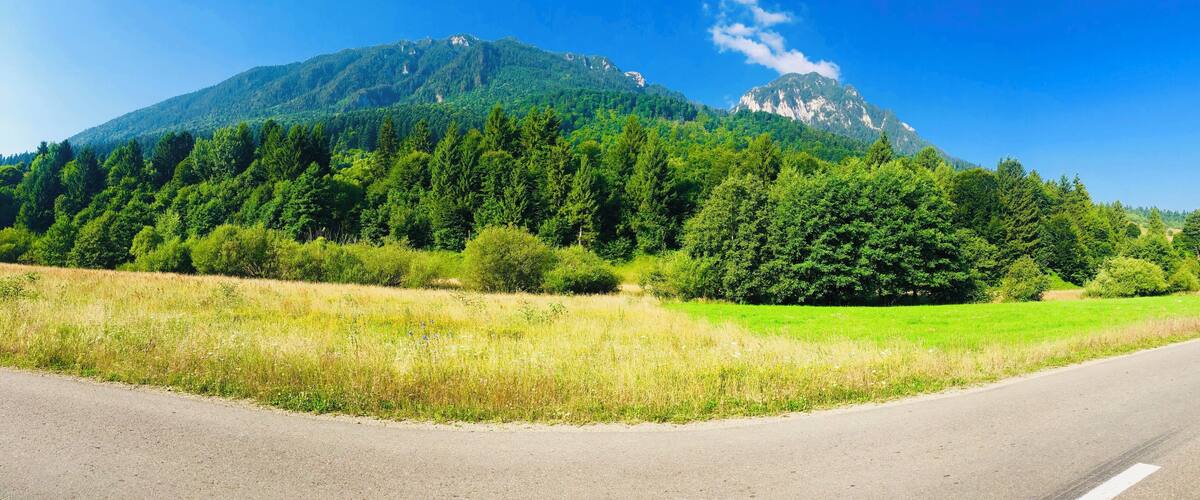 A road with a mountain in the background.
