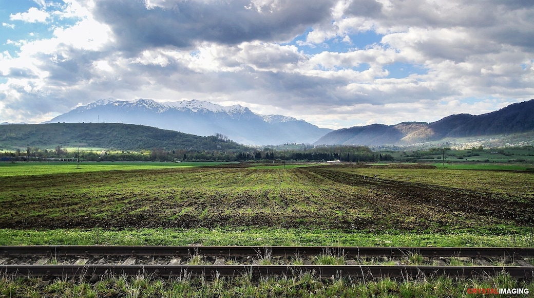 We were on our way into the National Park when I had to stop our guide (I may have startled him a bit) so I could jump out and snap this shot.
#travel #romania #hiking #colorful #mountains #piatracraiuluimountains