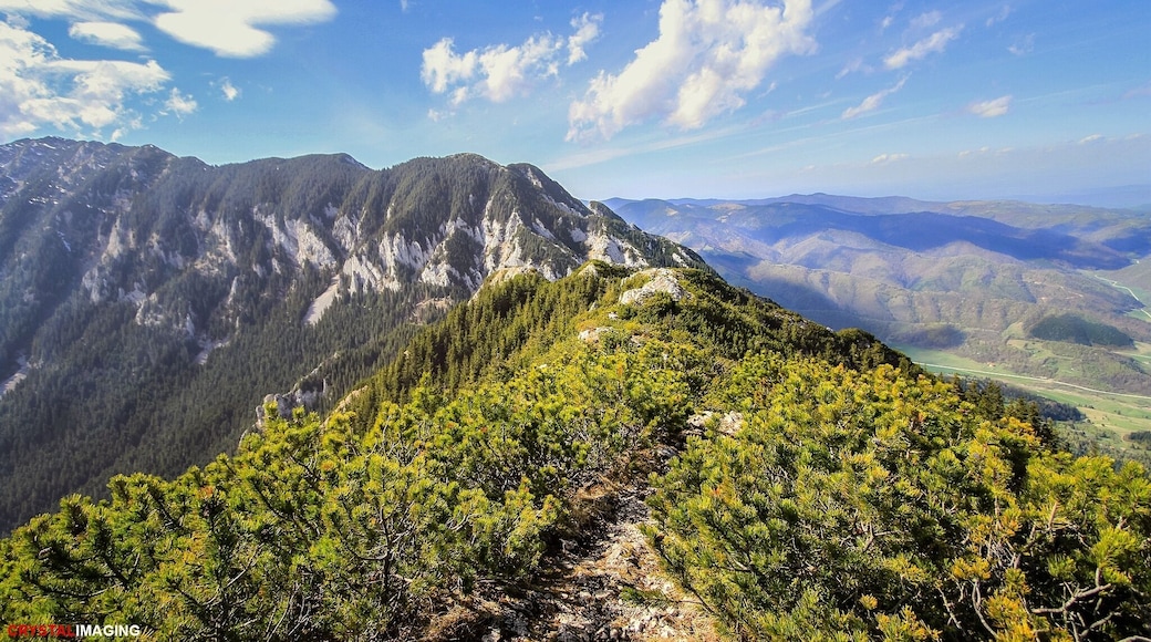 There is no better way to experience the beauty of Romania than ahikr in Piatra Craiului National Park. Grab your gear and get climbing.
#takeahike #romania
#hiking #travel #