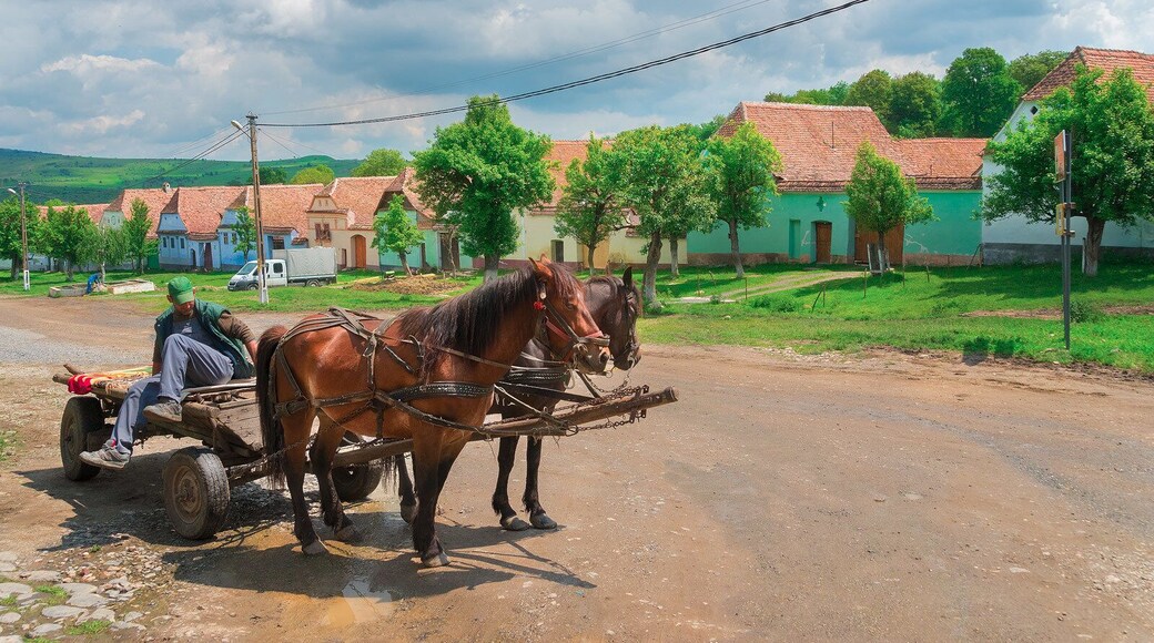 Double horse power.
http://www.alwayswanderlust.com/sibiu-romania-the-heart-of-transylvania/