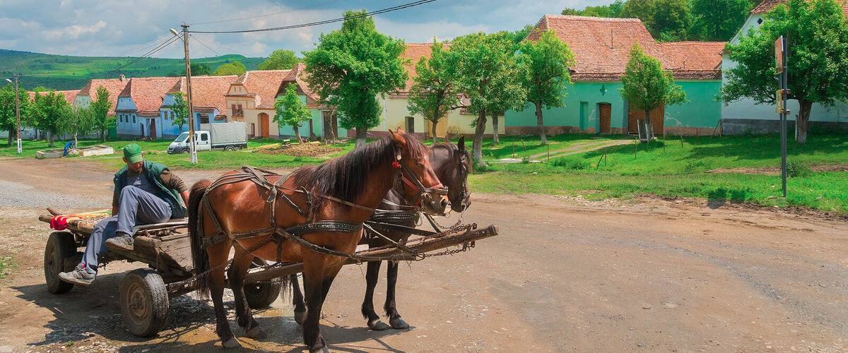 Escena rural con un carro tirado por caballos en un camino de tierra, rodeado de casas con techos de tejas rojas y árboles verdes.