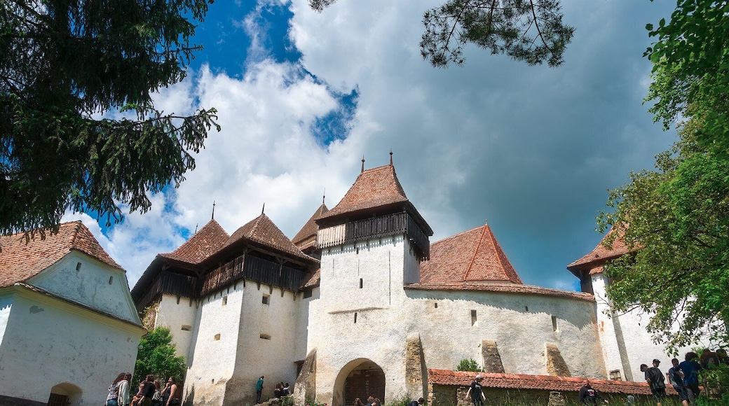 Viscri is famed for its fortified Saxon church. Not much else going on in the village, just grumpy old ladies.
http://www.alwayswanderlust.com/viscri-rupea-and-sighisoara/
