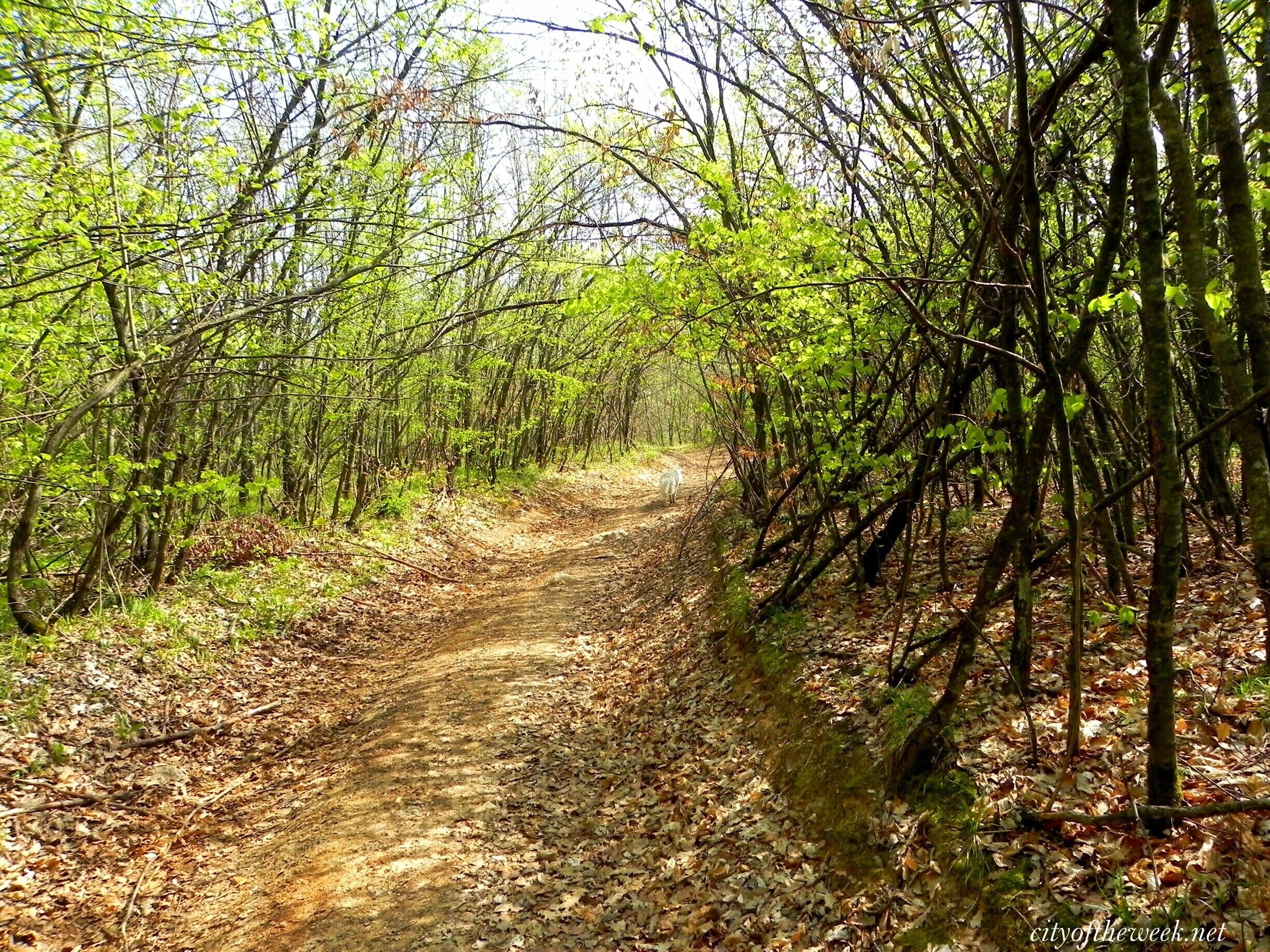 Trekking in the Western Carpathians - http://wp.me/p1hz24-Il