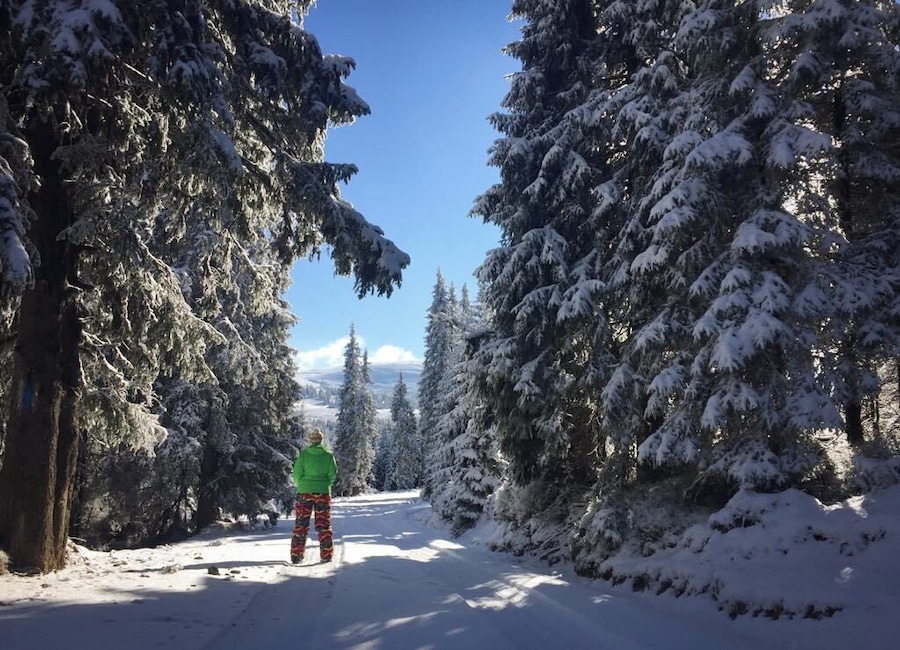 One of the most beautiful places I have ever seen in Romania and the entire world!
It had just snowed, there was no other soul in sight, and the skies were cloudless.
Sureanu Mountains = a must!
#WinterWonders #GreatOutdoors
P.S. How a winter fairy tale feels like (in Romanian)--
https://bit.ly/3arbshd