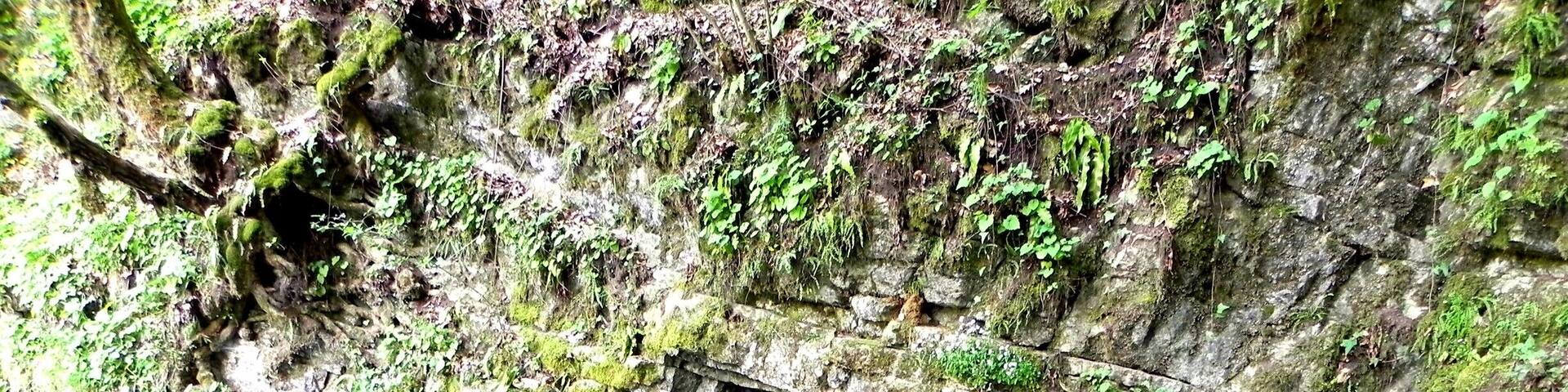 Izbandis Spring - the blue part you're seeing has a 6-meter sudden drop. Read more about it here: http://wp.me/p1hz24-Il
#hiking #waterlust