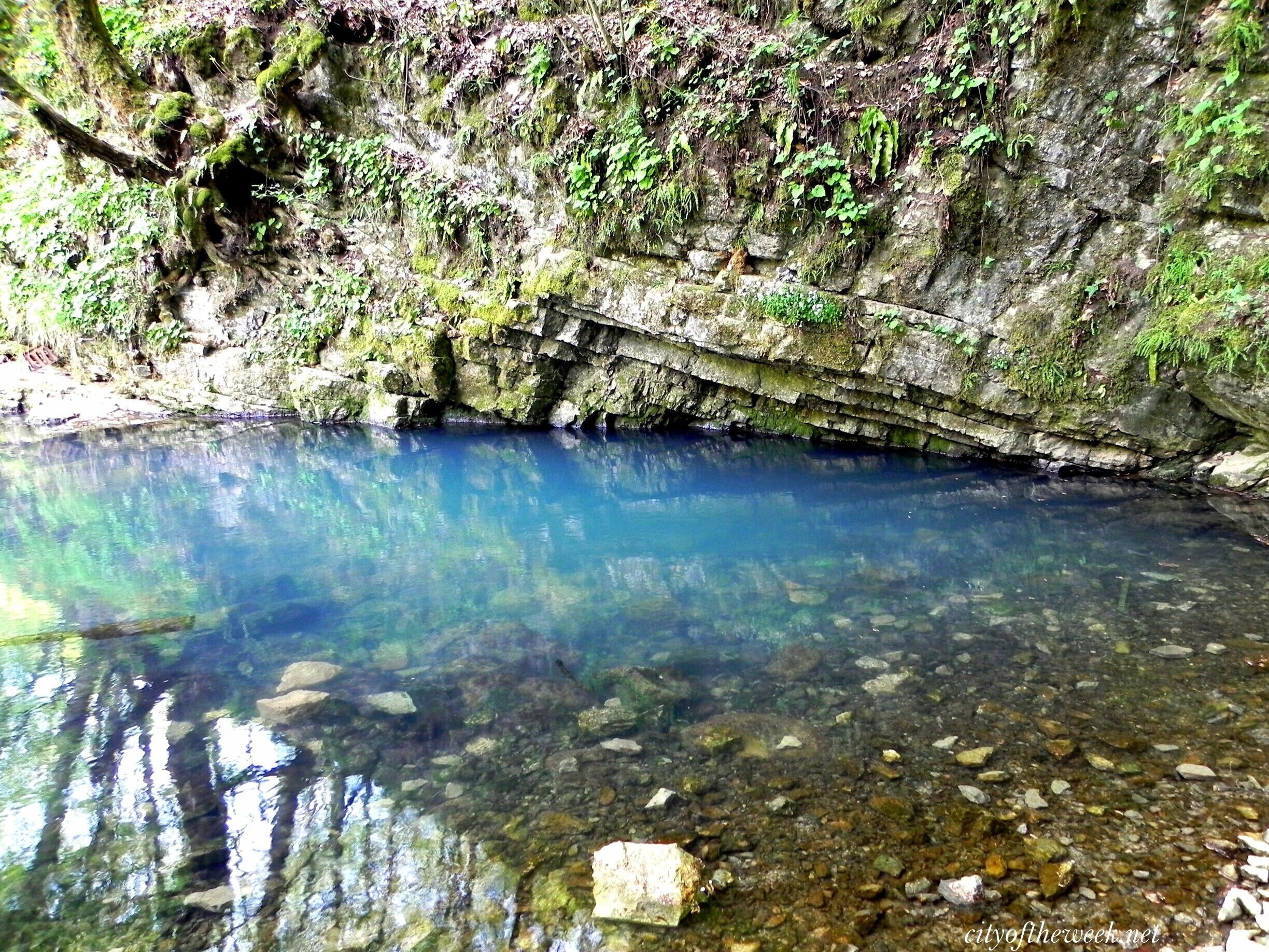 A clear, rocky stream surrounded by mossy cliffs.