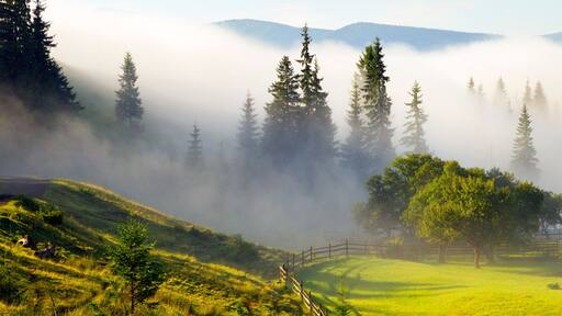 A misty mountain landscape with a wooden cabin, green fields, and dense forests.