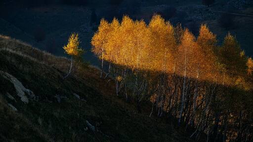 The area around Bran (yeah, the place with Dracula's Castle), is really, really photogenic, especially during the fall and winter. It's a hilly area between mountains and the views are spectacular. Also, you'll find traditional wooden houses and lots of local products.
www.doruoprisan.com