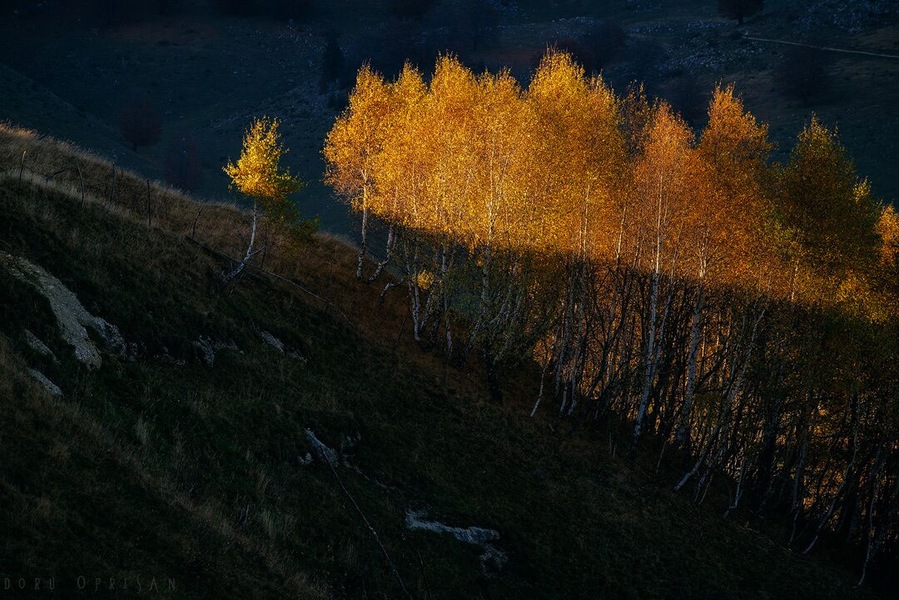 The area around Bran (yeah, the place with Dracula's Castle), is really, really photogenic, especially during the fall and winter. It's a hilly area between mountains and the views are spectacular. Also, you'll find traditional wooden houses and lots of local products.
www.doruoprisan.com