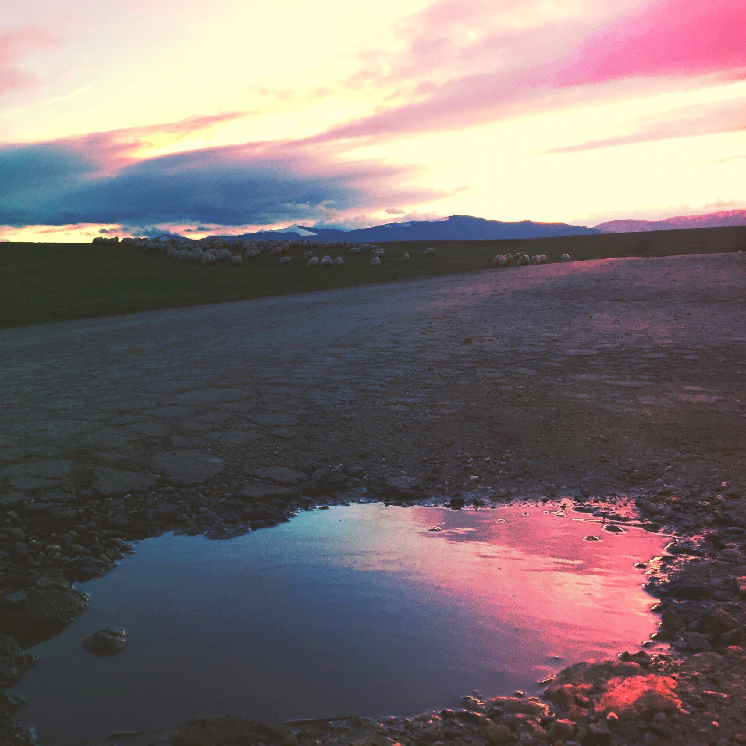 Don't just drive on your trips! Take time and stop cause every moment is unique! Like my pink sky afternoon #roadtrip in #sibiu