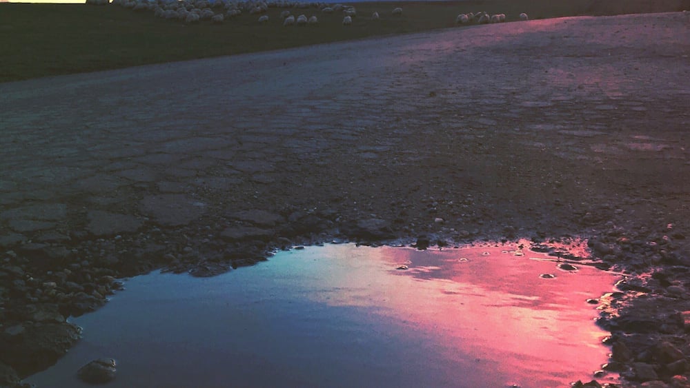 Don't just drive on your trips! Take time and stop cause every moment is unique! Like my pink sky afternoon #roadtrip in #sibiu