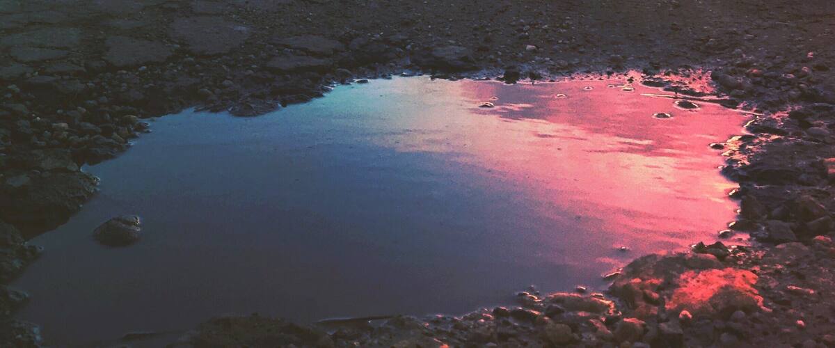 A sunset over a field with sheep and a reflective puddle.